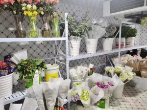 江西·宜春60立方鲜花保鲜库
