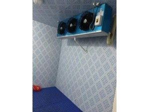 上海·嘉定35立方水果冷藏保鲜库