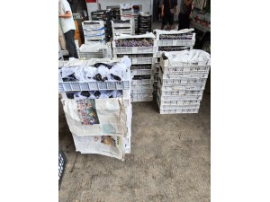 上海·嘉定100立方葡萄冷藏库