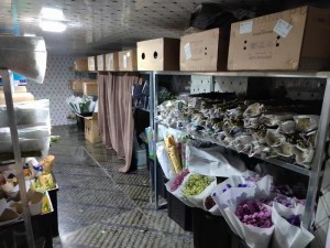 上海·嘉定45立方鲜花冷库保鲜库