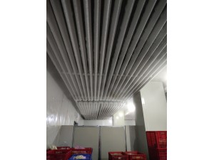 上海·嘉定500立方冷冻库（可放100吨货）-18度