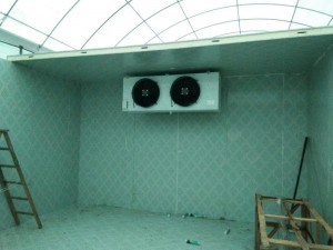 上海·嘉定 72立方（冷冻库-18度）可放15吨货