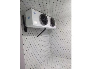 上海·嘉定55立方（双温库）保鲜0-10℃ 冷冻-18-0℃