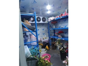 上海·嘉定30立方鲜花保鲜冷库