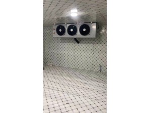 九江·庐山280立方冷冻库