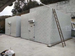 江西·南昌安义50立方钢排粉条冻库