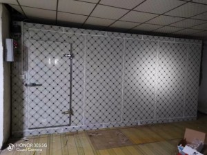 江西·萍乡160立方速冻库