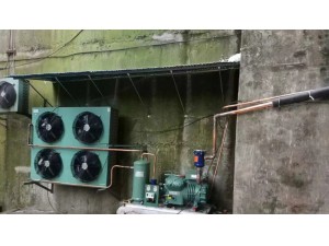 上海·嘉定400立方异型排管冷库